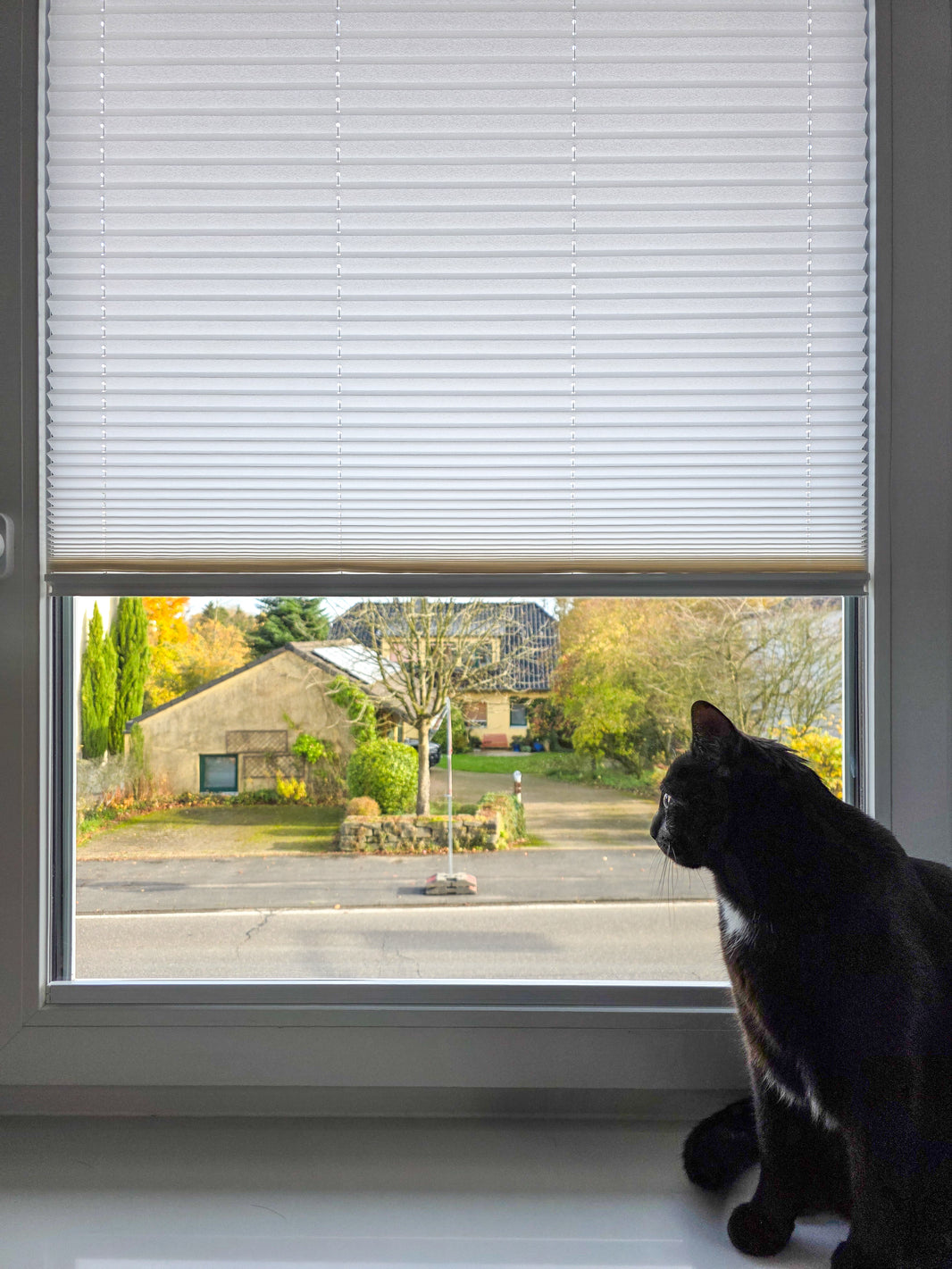 Klebe Plissee ohne Bohren – Maßanfertigung direkt auf Glas